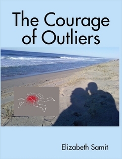 courage of outliers