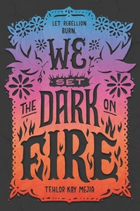 We Set the Dark on Fire by Tehlor Kay Mejia cover