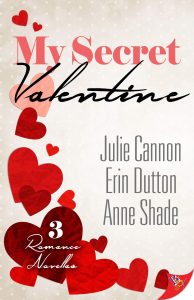 the cover of My Secret Valentine