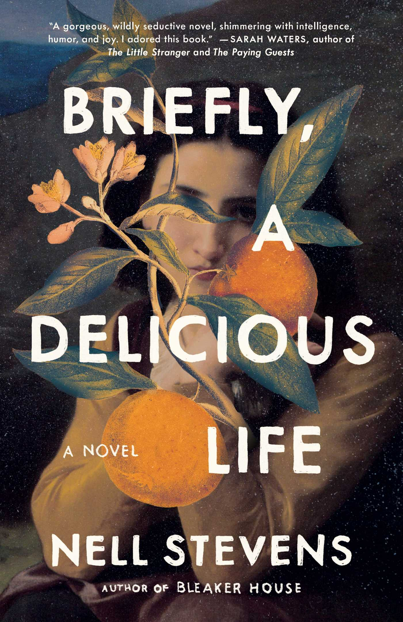 the cover of Briefly, A Delicious Life