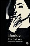 the cover of Boulder