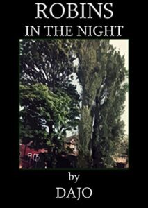the cover of Robins in the Night