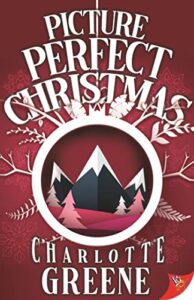 the cover of Picture-Perfect Christmas