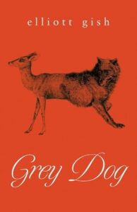 Grey Dog cover