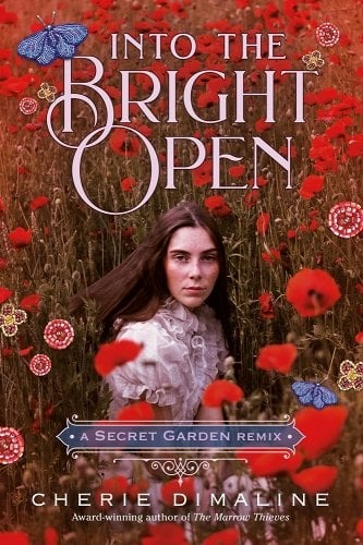 Into the Bright Open cover