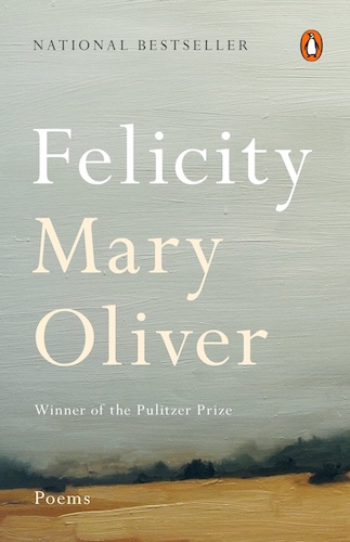 Felicity cover